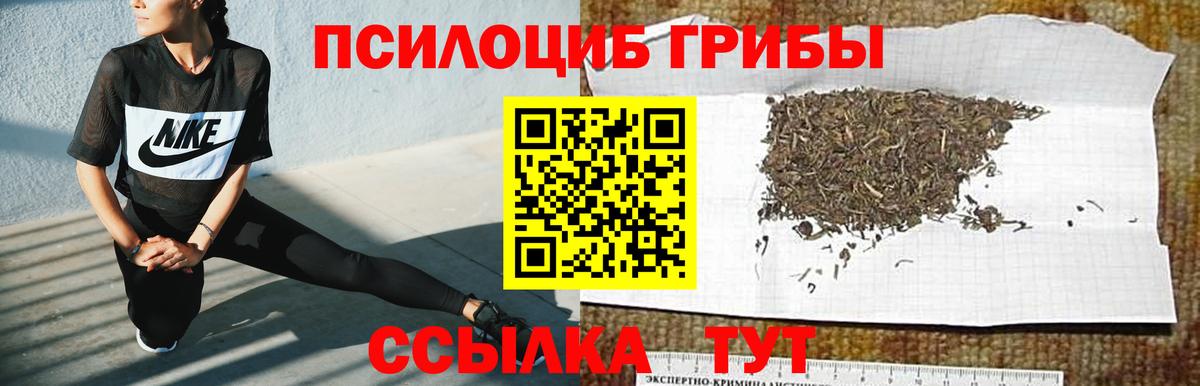 хочу наркоту  Вход с VPN  Кимры  Галлюциногенные грибы Cubensis 