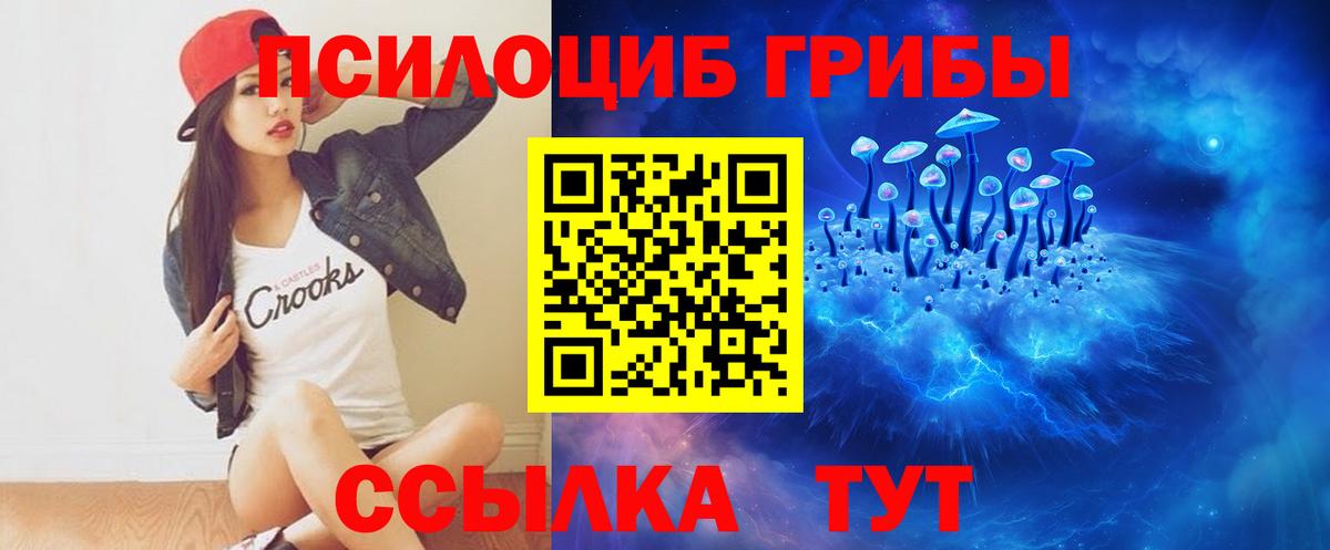 Галлюциногенные грибы прущие грибы Кимры
